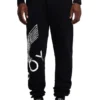 Boy Eagle Joggers