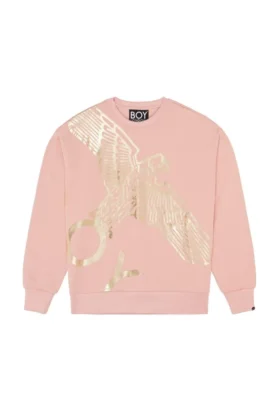 Boy Wingspan Sweatshirt