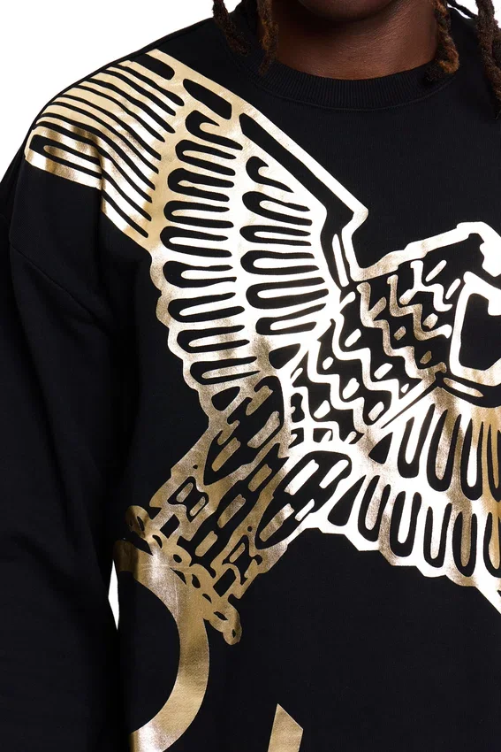 Boy Wingspan Sweatshirt